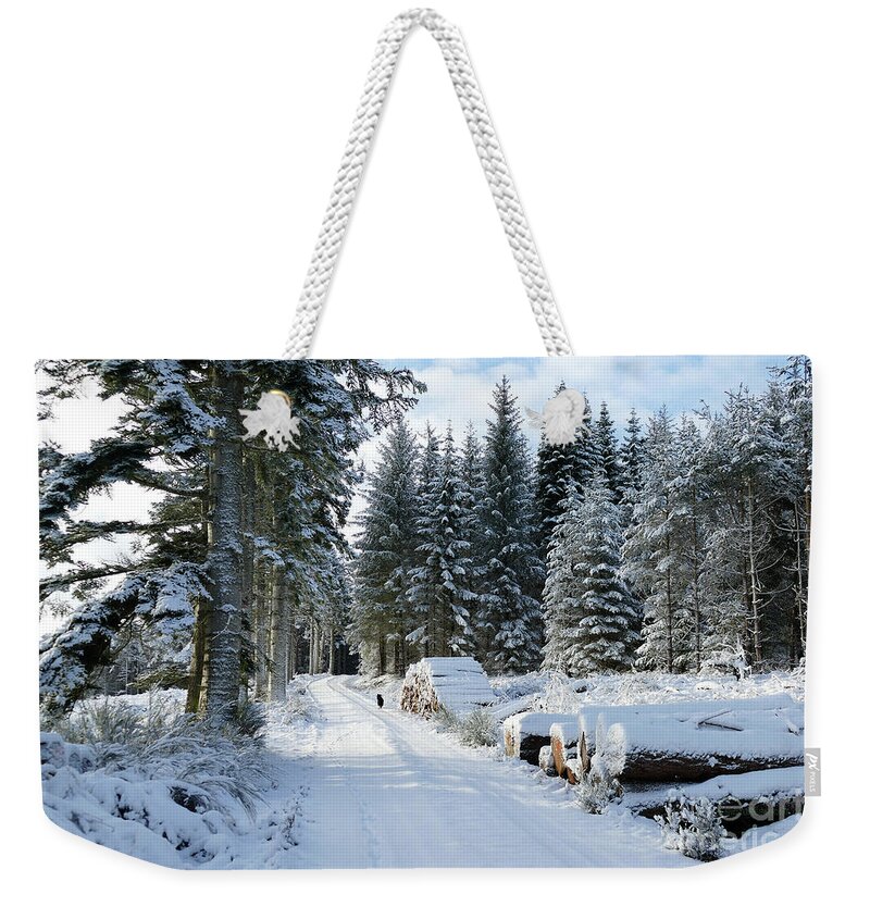 Forest Weekender Tote Bag featuring the photograph Winter walk in the Forest by Phil Banks