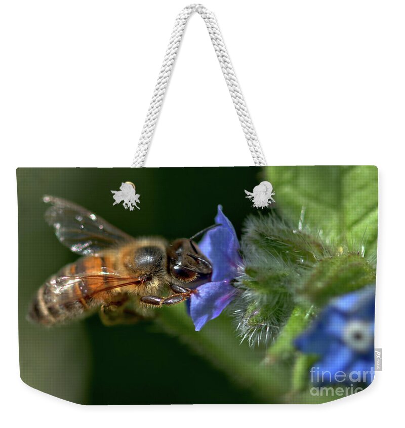 Nature Weekender Tote Bag featuring the photograph Forget me not feast by Stephen Melia