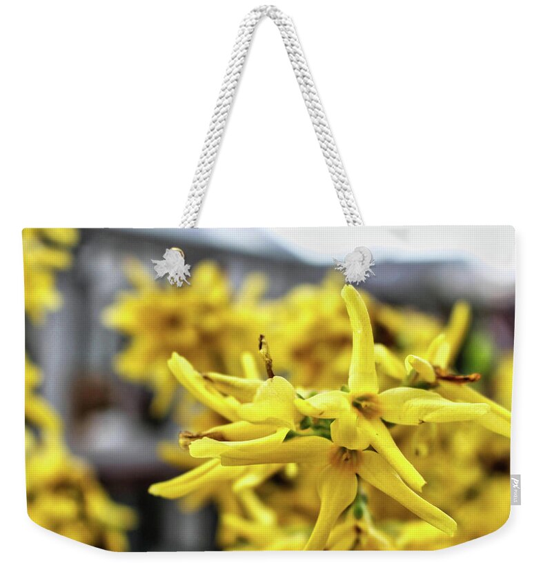 Forsythia Weekender Tote Bag featuring the photograph Forsythia Detail - Spring 2022 by Christopher Lotito