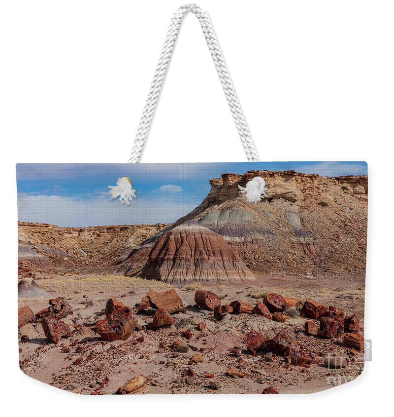 Landscape Weekender Tote Bag featuring the photograph Fossil Forest by Seth Betterly