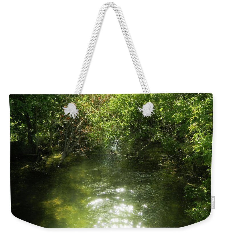 Found A New Place Weekender Tote Bag featuring the photograph Found A New Place by Cyryn Fyrcyd