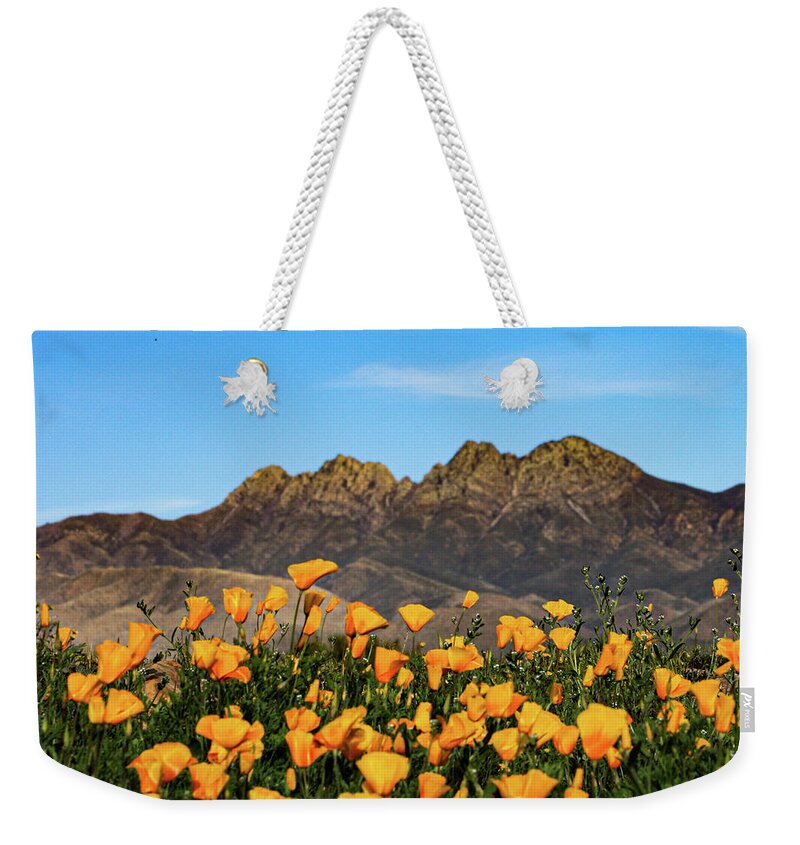 Four Peaks Weekender Tote Bag featuring the photograph Four Peaks in Spring by Bonny Puckett