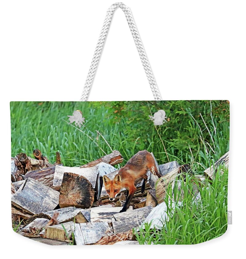 Fox Weekender Tote Bag featuring the photograph Fox In The Woodpile by Debbie Oppermann