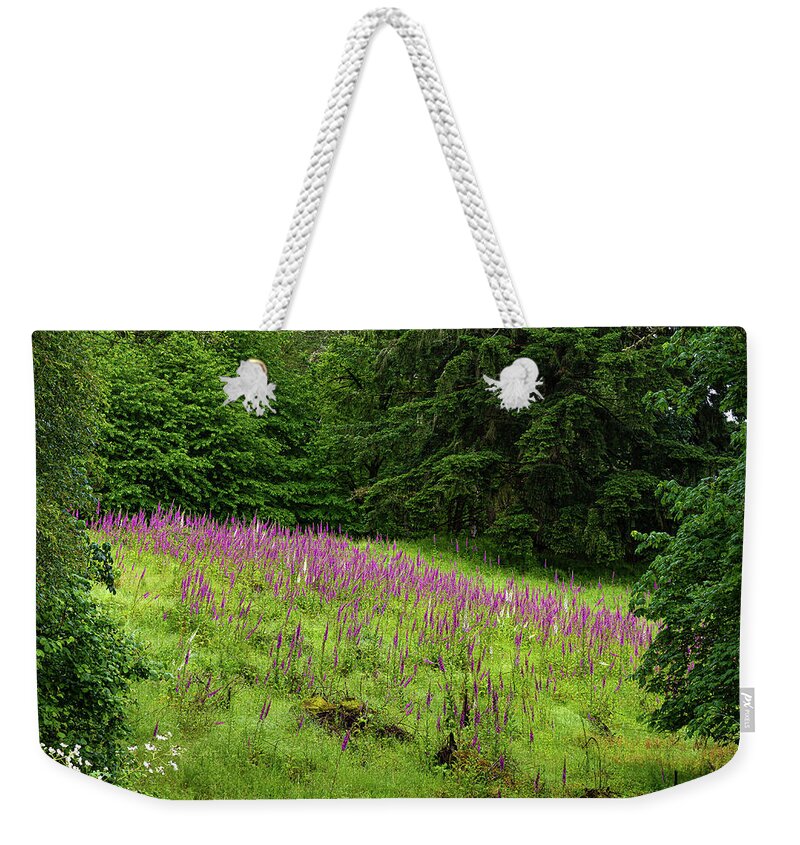 Foxgloves Weekender Tote Bag featuring the photograph Foxgloves in the clearing by Ulrich Burkhalter