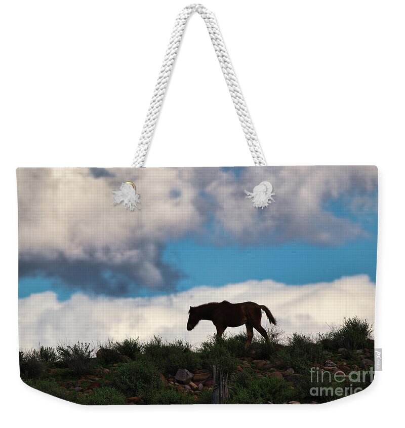 Cute Yearling Weekender Tote Bag featuring the photograph Free by Shannon Hastings