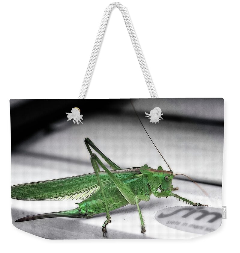 Animals Weekender Tote Bag featuring the photograph Fridolin the Grasshopper by Wolfgang Stocker