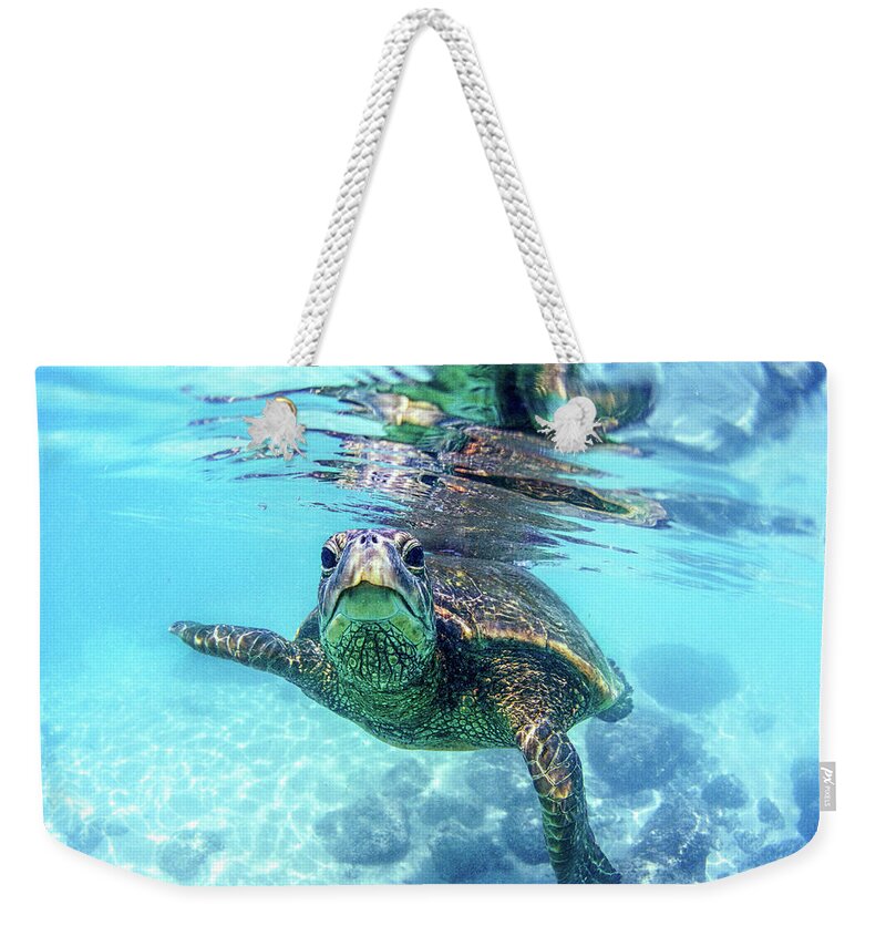 Sea Weekender Tote Bag featuring the photograph friendly Hawaiian sea turtle by Sean Davey