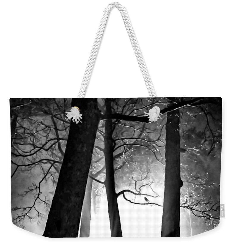 Fine Art Weekender Tote Bag featuring the photograph Friendship II by Sofie Conte