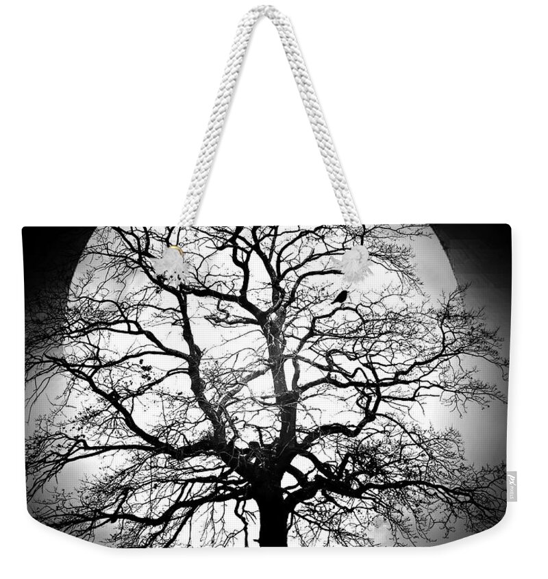 Fine Art Weekender Tote Bag featuring the photograph Friendship by Sofie Conte