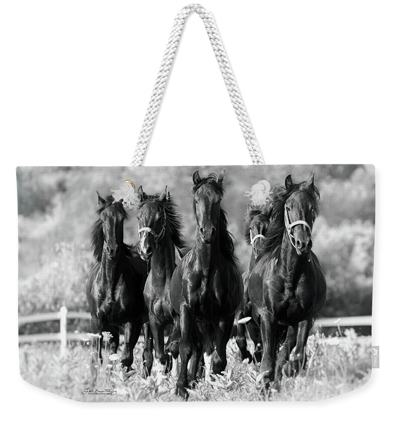 Friesian Weekender Tote Bag featuring the photograph Friesian Colts by Lori Ann Thwing