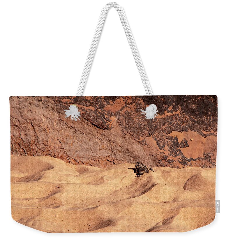 National Momument Weekender Tote Bag featuring the photograph Frog dried up in the desert by Nathan Wasylewski
