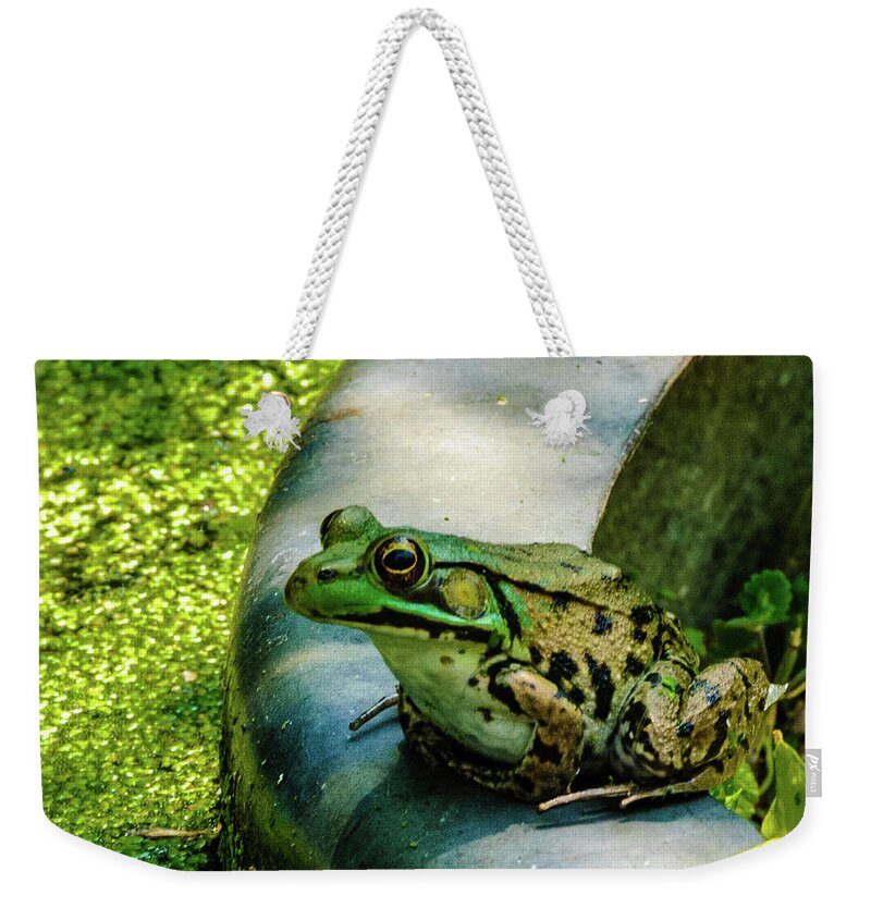 Animals Weekender Tote Bag featuring the photograph Frog Hollow by Louis Dallara