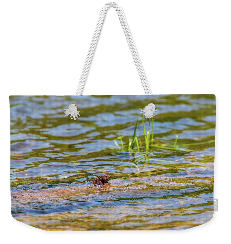 Catskills Weekender Tote Bag featuring the photograph Frog in the Pond by Amelia Pearn