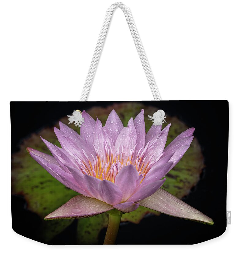 Summer Weekender Tote Bag featuring the photograph Front and back. by Usha Peddamatham