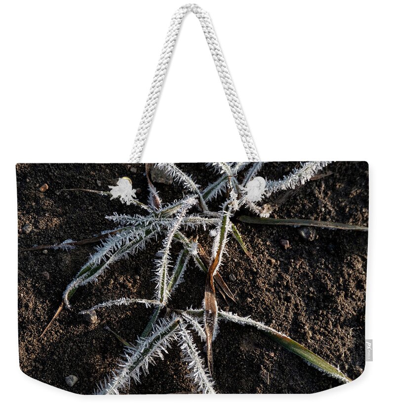 Frost Weekender Tote Bag featuring the photograph Frost On Crabgrass by Karen Rispin