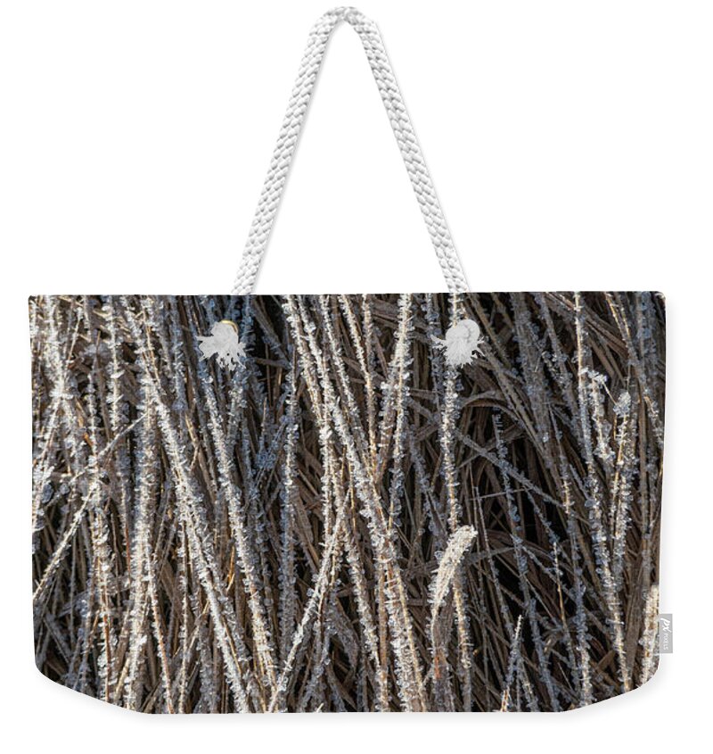 Frost Weekender Tote Bag featuring the photograph Frost On Grass by Karen Rispin