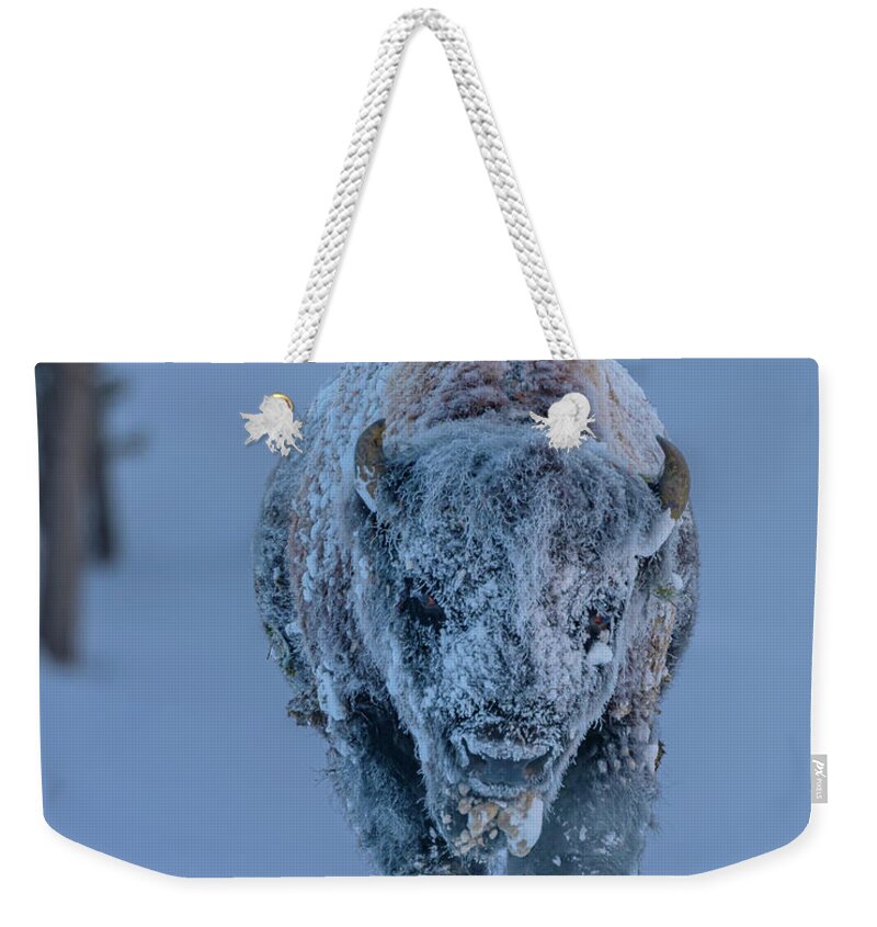 Bison Weekender Tote Bag featuring the photograph Frosted Bison by Laura Hedien