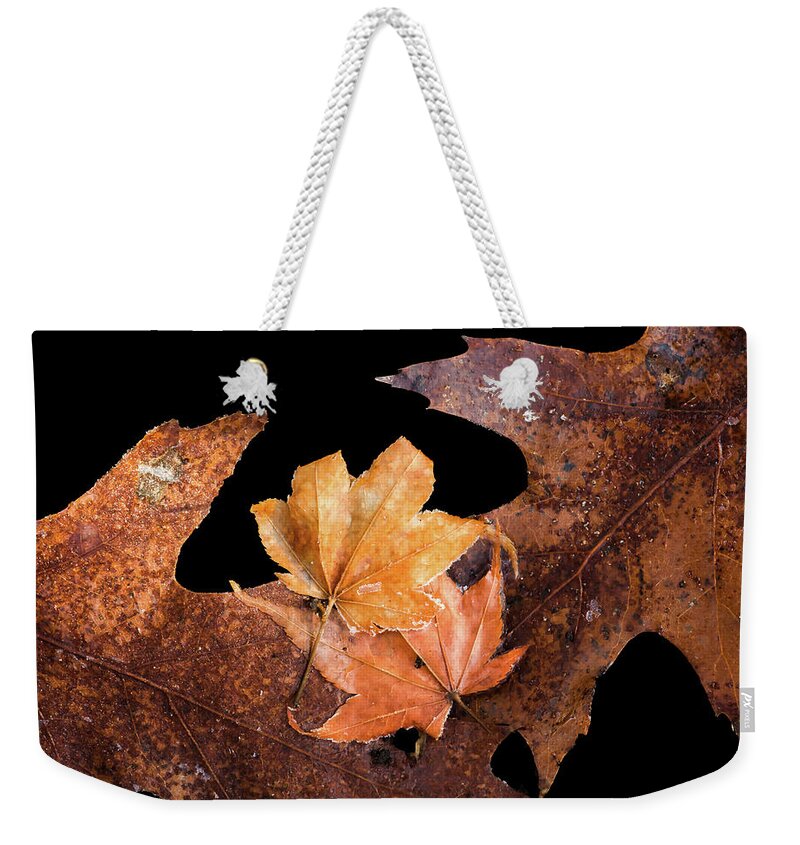 Leaves Weekender Tote Bag featuring the photograph Frosty Leaves Together by Gary Slawsky