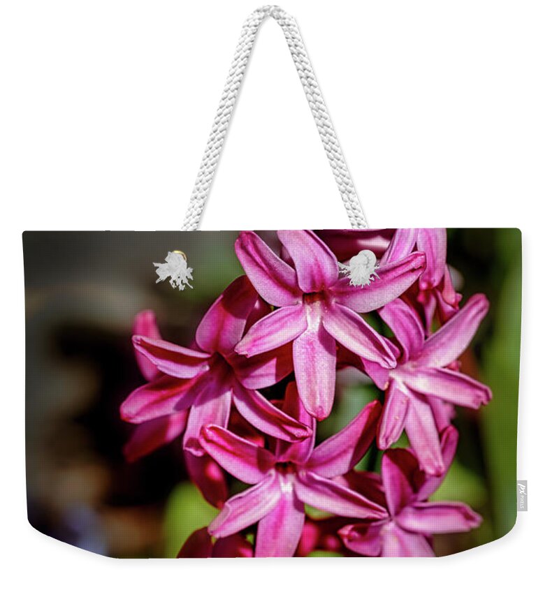 Fuchsia Weekender Tote Bag featuring the photograph Fuchsia hyacinth by The P