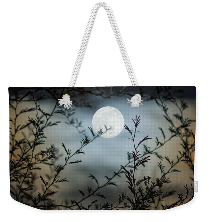 Arizona Weekender Tote Bag featuring the photograph Full Moon Through Mesquite Branches by Teresa Wilson