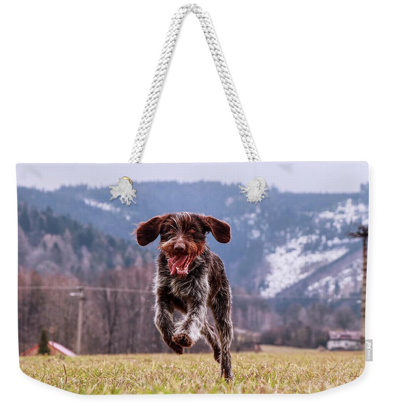 Bohemian Wire Weekender Tote Bag featuring the photograph Fun face. Hound- Bohemian Wire Haired Pointing Griffon by Vaclav Sonnek