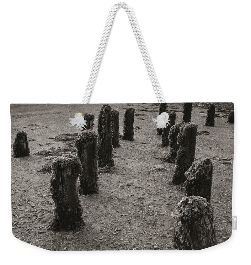 Canada; Nova Scotia; Fundy; Bay Of Fundy; Spencer Island; Pier; Pilings; Beach; Clouds; Seaweed; B&w; Black & White; Monochrome; Vertical; Nature Photography; Landscape Photography; Scenic Weekender Tote Bag featuring the photograph Fundy Dock by Tom Daniel