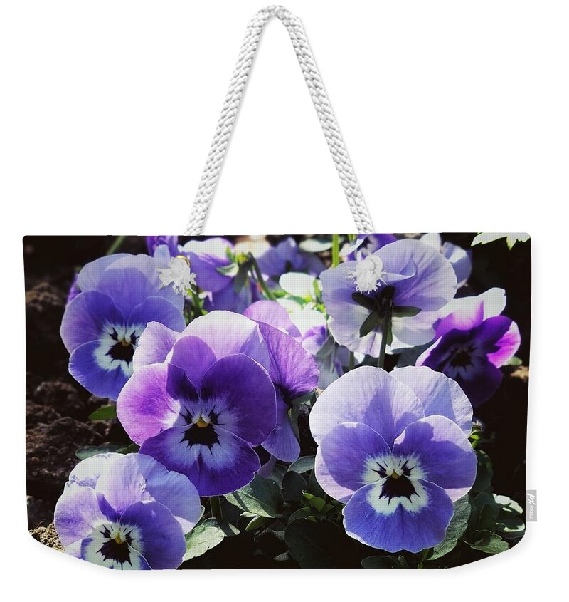 Pansy Flowering Weekender Tote Bag featuring the photograph Garden Faces by Mark Egerton