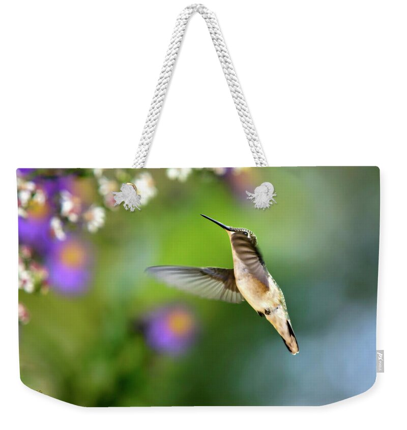 Bird Weekender Tote Bag featuring the photograph Garden Hummingbird by Christina Rollo