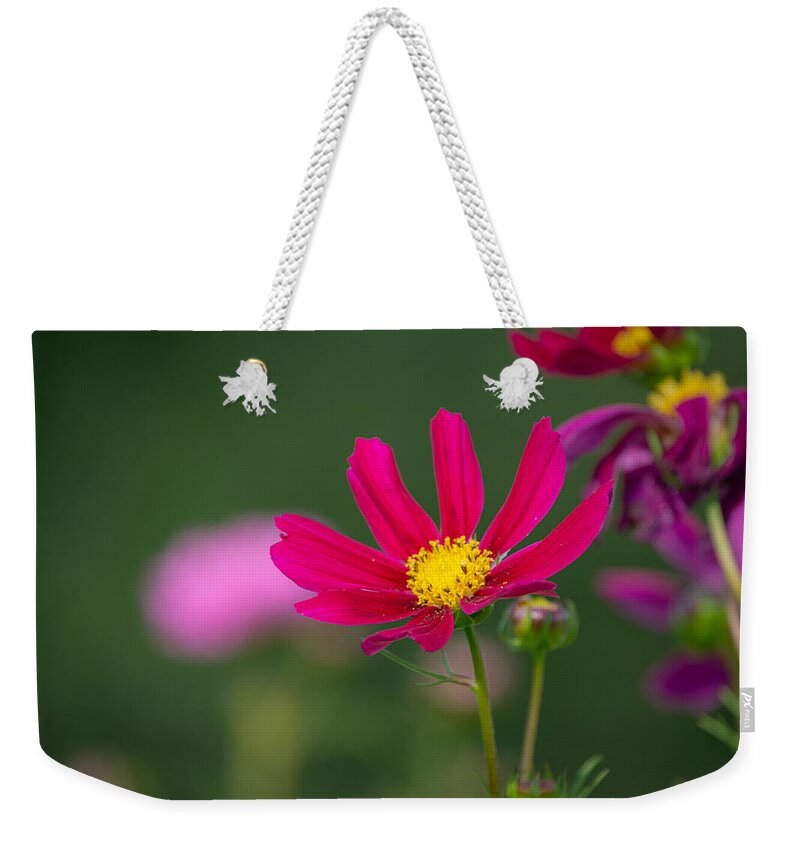 Flower Weekender Tote Bag featuring the photograph Garden Pink by Linda Bonaccorsi