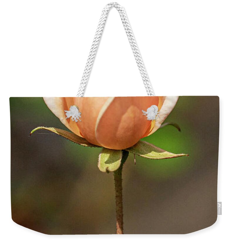 Rose Weekender Tote Bag featuring the photograph Garden Rose by Jerry Connally