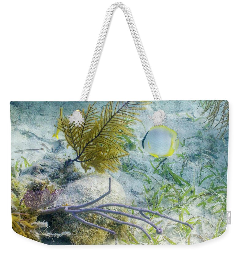 Animals Weekender Tote Bag featuring the photograph Garden Spot by Lynne Browne