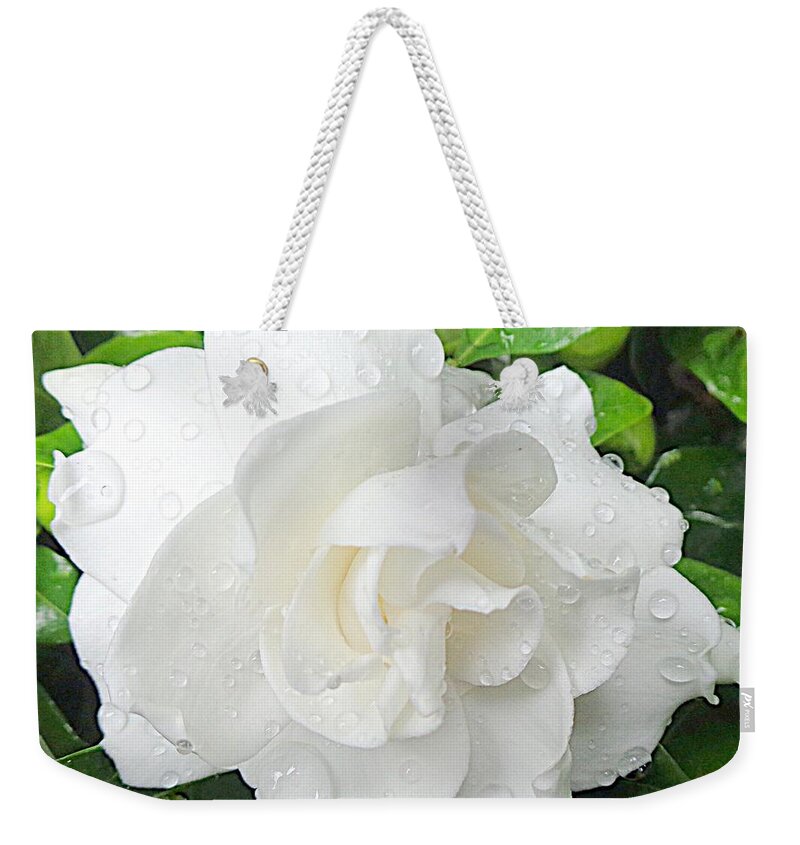 Gardenia Weekender Tote Bag featuring the photograph Gardenia - After The Rain by VIVA Anderson