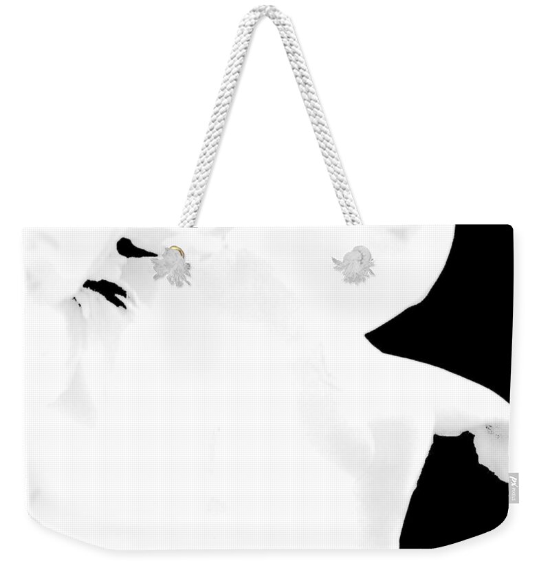 Gardenia Upclose Weekender Tote Bag featuring the photograph Gardenia Up Close by VIVA Anderson