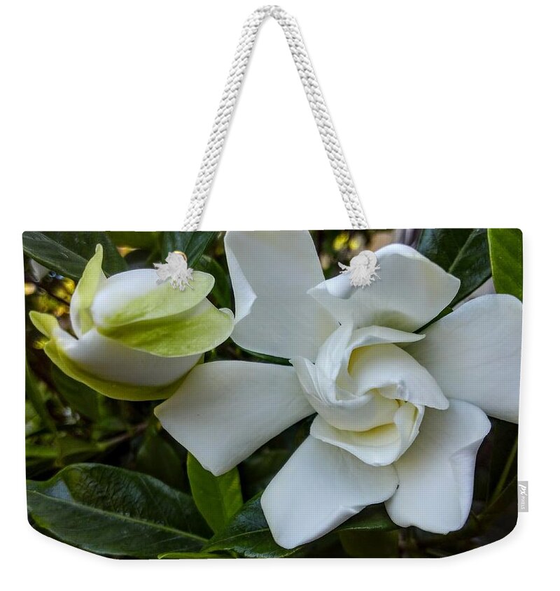  Weekender Tote Bag featuring the photograph Gardenias by Heather E Harman