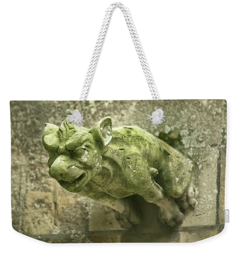 Gargoyle Weekender Tote Bag featuring the photograph Gargoyle by Lisa Chorny