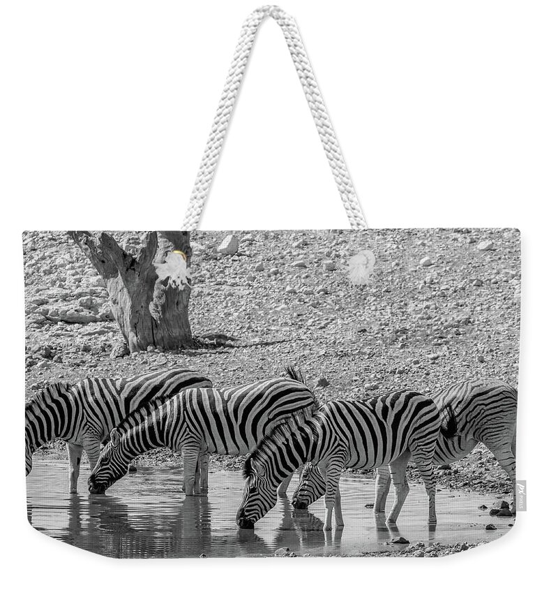 Gary Hall Weekender Tote Bag featuring the photograph Gathering at the Waterhole by Gary Hall
