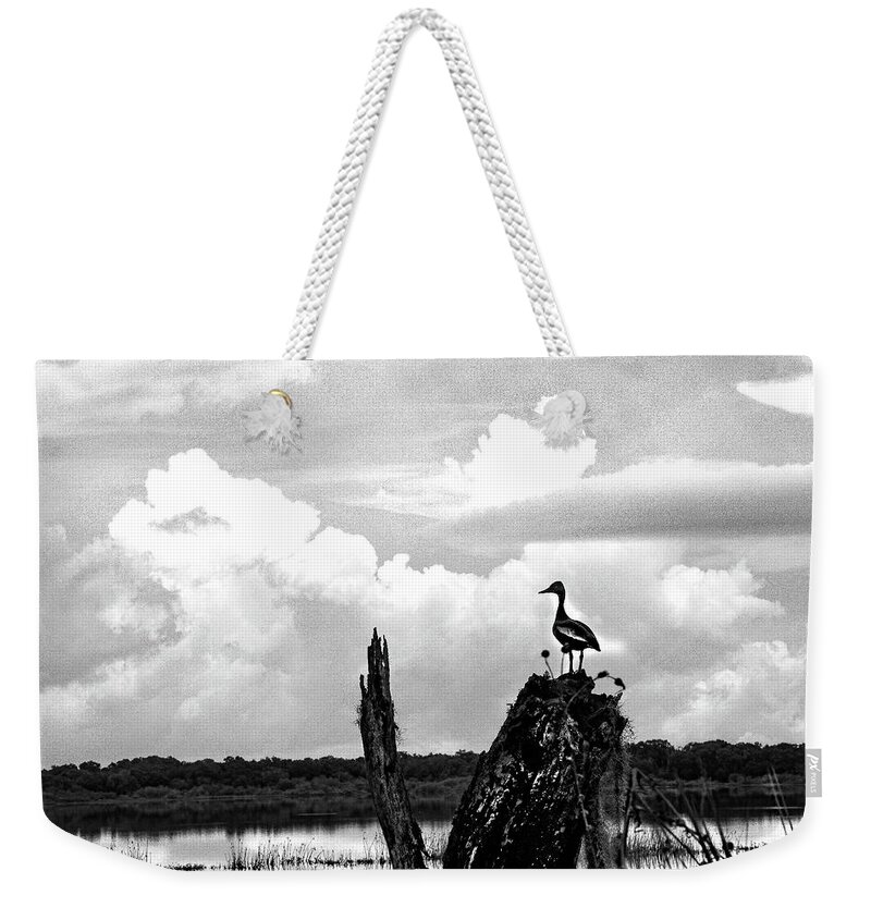 Clouds Weekender Tote Bag featuring the photograph Gathering Storm by Rick Redman