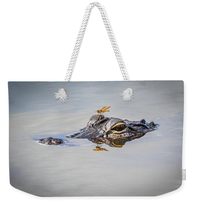 Myeress Weekender Tote Bag featuring the photograph Gator with dragonfly by Joe Myeress