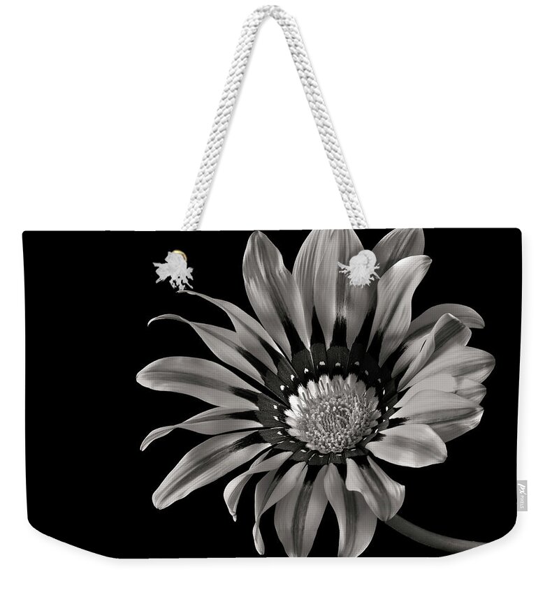 Flower Weekender Tote Bag featuring the photograph Gazinia 2 in Black and White by Endre Balogh