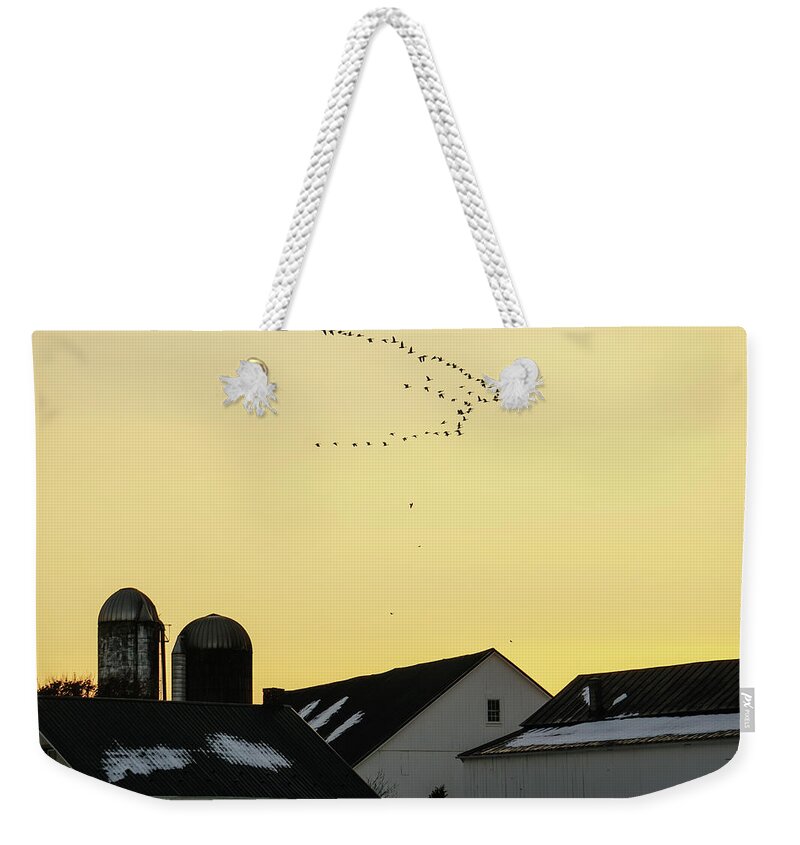 Geese Weekender Tote Bag featuring the photograph Geese Overhead by Tana Reiff