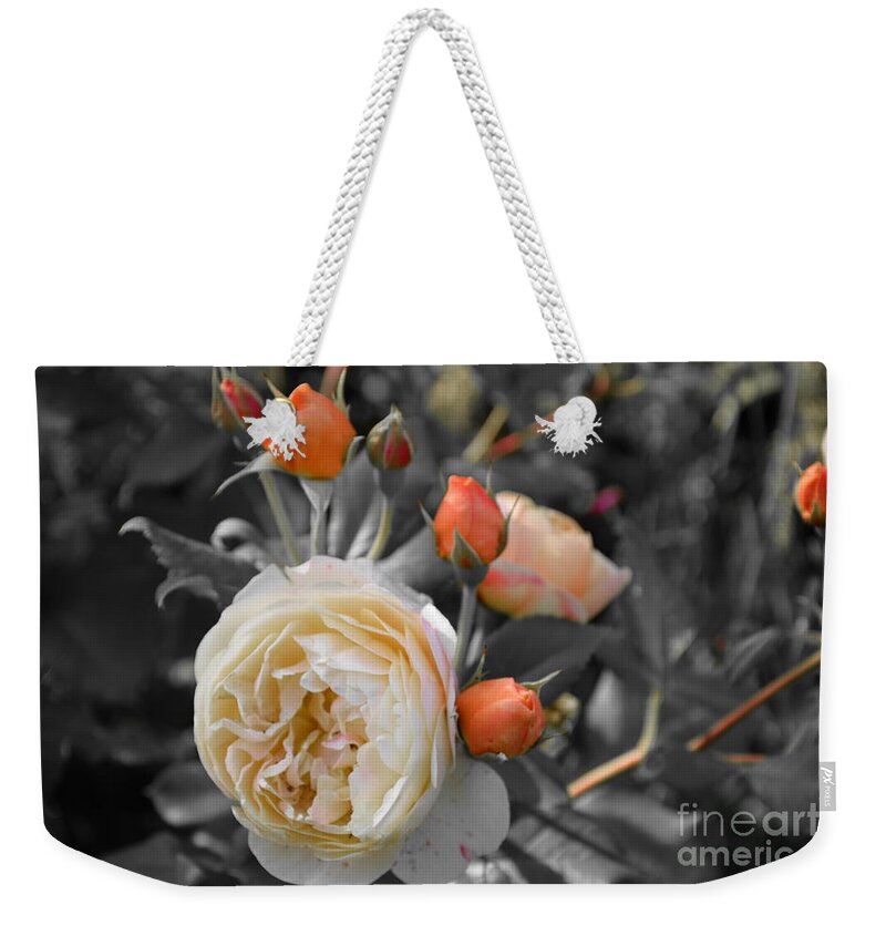Rose Weekender Tote Bag featuring the photograph Gently Golden Rose by Sea Change Vibes
