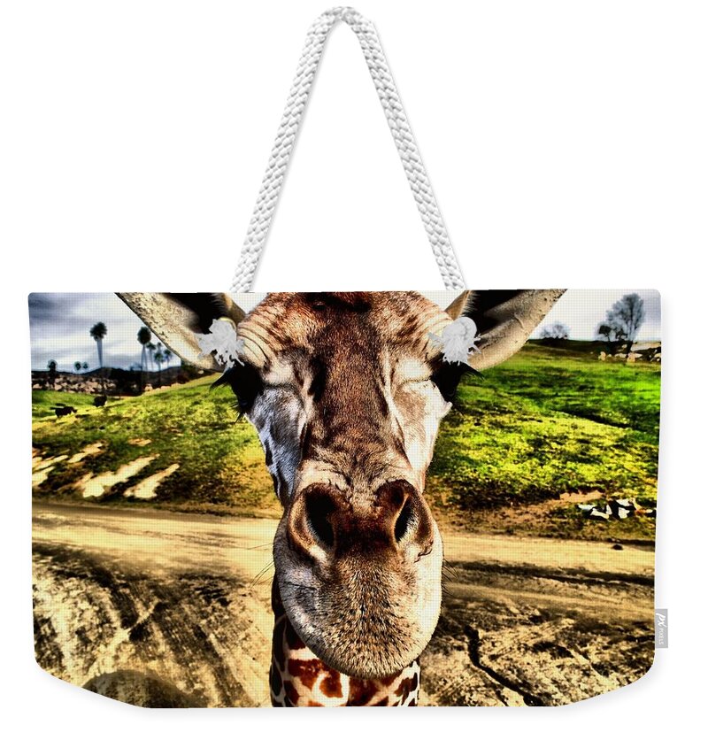 Wildlife Weekender Tote Bag featuring the photograph Geoff the Giraffe by Devin Wilson