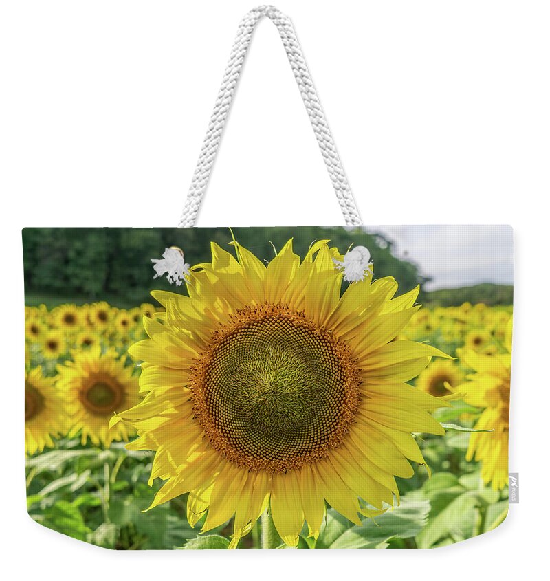2017 Weekender Tote Bag featuring the photograph Georgia Sunflowers #2 by David R Robinson