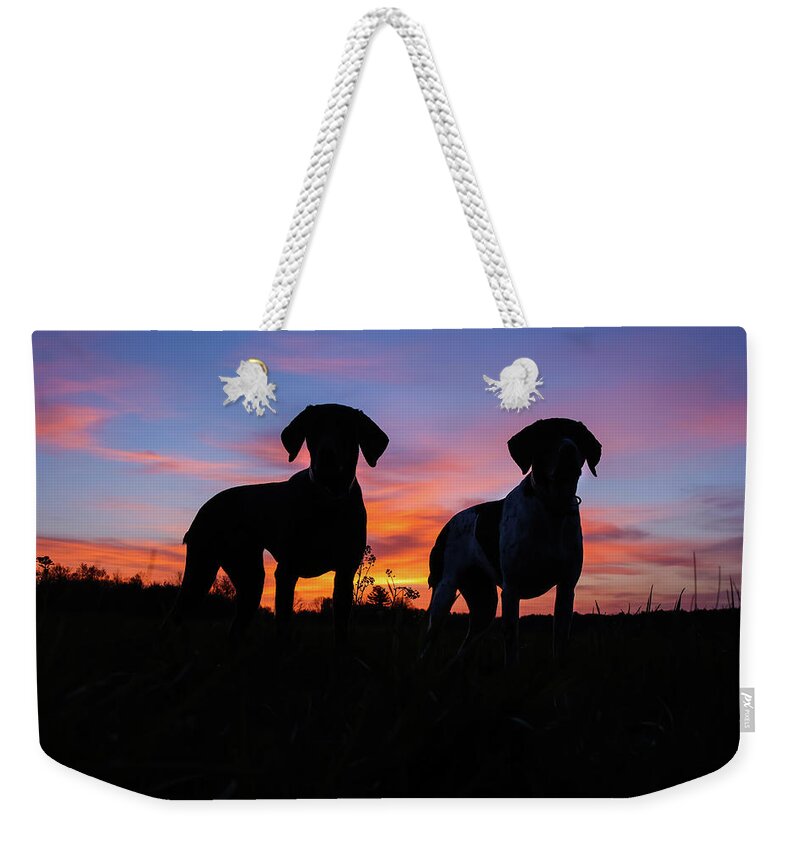 German Shorthaired Weekender Tote Bag featuring the photograph German Shorthaired Pointers by Brook Burling