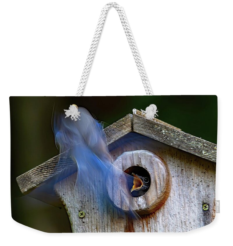 Bluebird Weekender Tote Bag featuring the photograph Ghost Feeder by Gina Fitzhugh