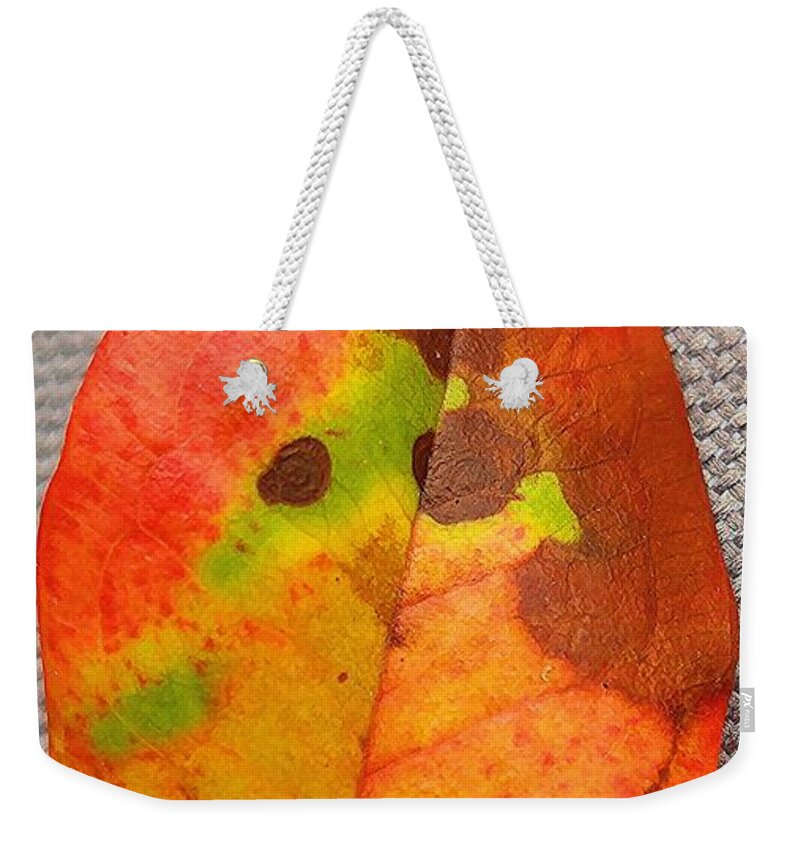 Leaf Weekender Tote Bag featuring the photograph Ghost Leaf by Fred Bailey