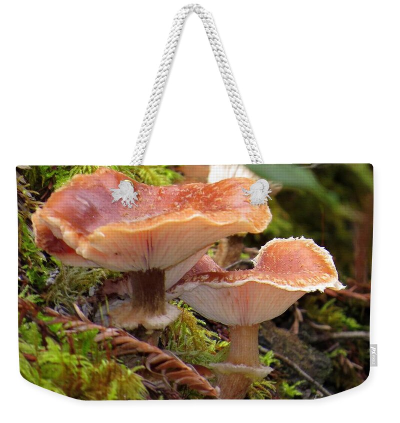 Gilled Weekender Tote Bag featuring the photograph Gilled And Ringed Mushrooms by Linda Vanoudenhaegen