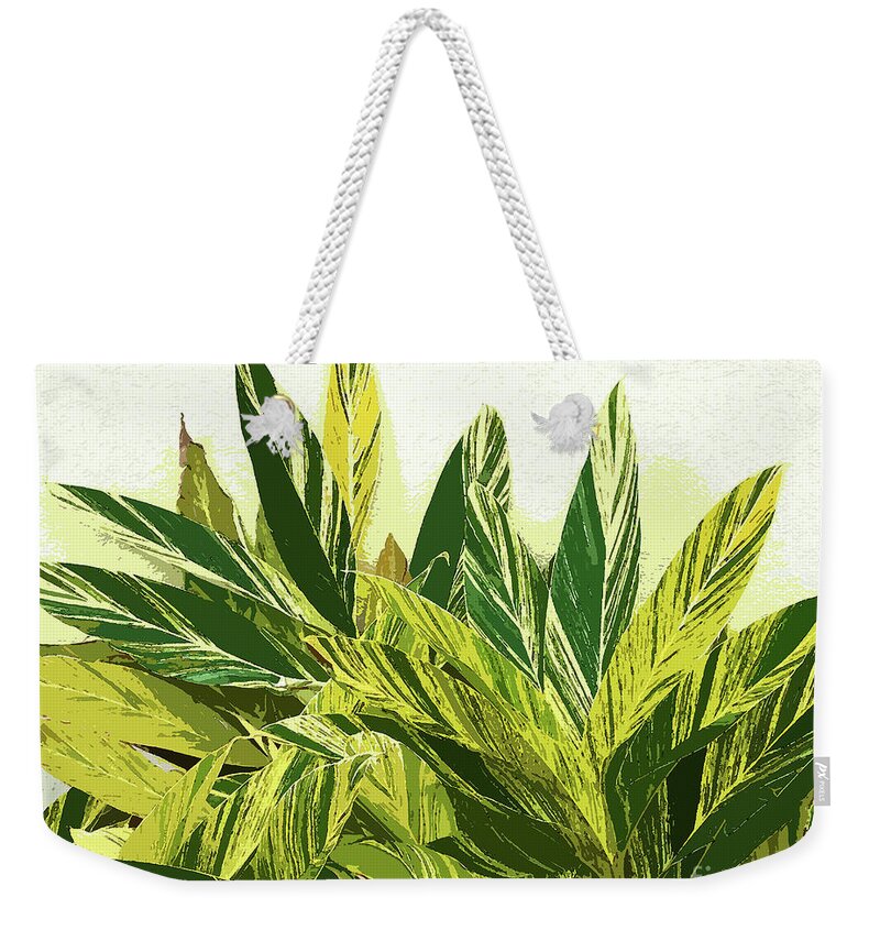 Abstract Weekender Tote Bag featuring the photograph Ginger Variegation Abstract 300 by Sharon Williams Eng