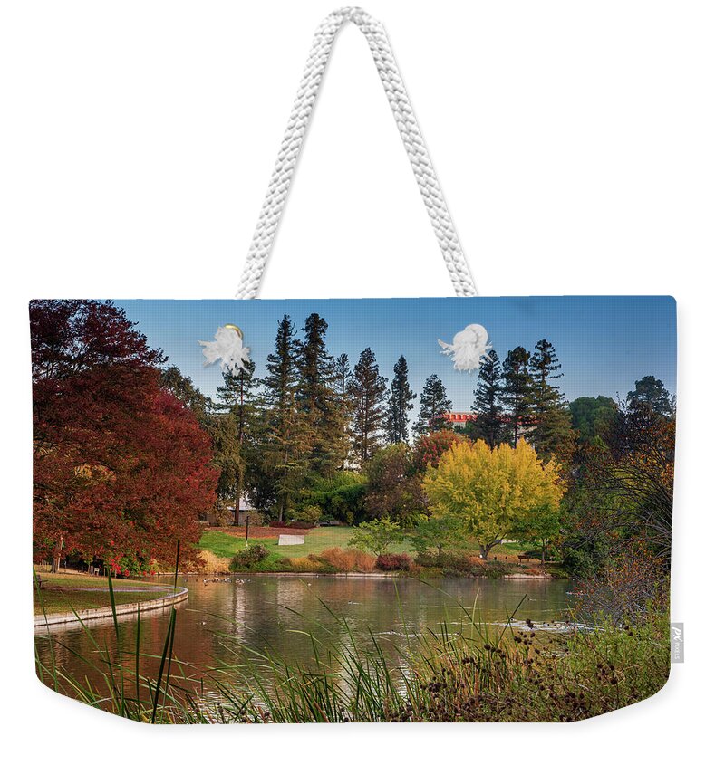 Uc Davis Weekender Tote Bag featuring the photograph Ginko tree in the fall by Alessandra RC