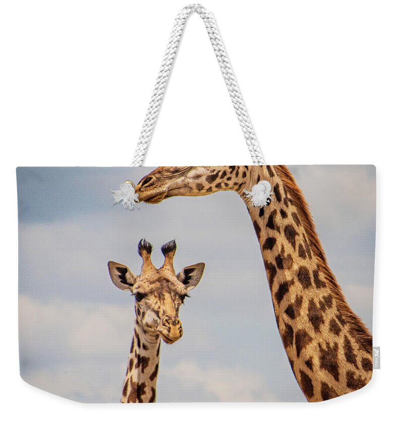 Giraffes Weekender Tote Bag featuring the photograph Giraffes Mom and Calf by Janis Knight